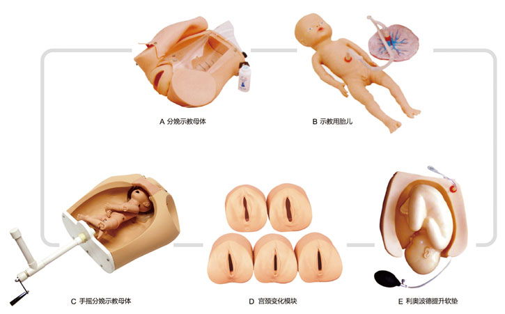高級(jí)腹部觸診、分娩機(jī)轉(zhuǎn)綜合模型
