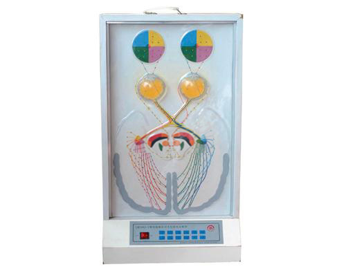視覺(jué)傳導(dǎo)瞳孔對(duì)光反射電動(dòng)模型