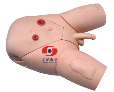 高級(jí)男性導(dǎo)尿模型