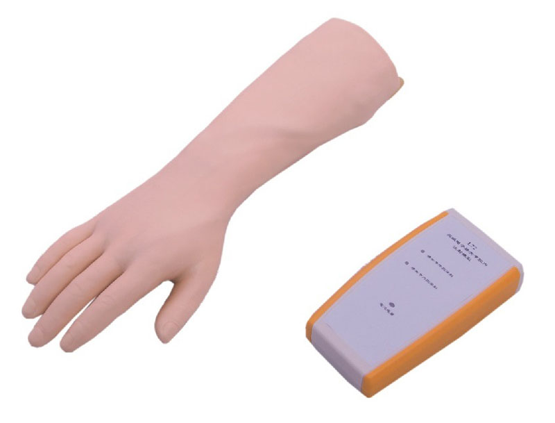  腕關節(jié)穿刺注射模型