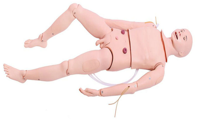 高級成人鼻腔吸痰及護(hù)理模型