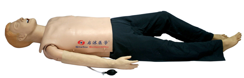 電腦心肺復(fù)蘇模型