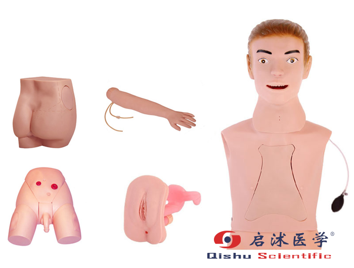 高級基礎(chǔ)護(hù)理實習(xí)操作模型