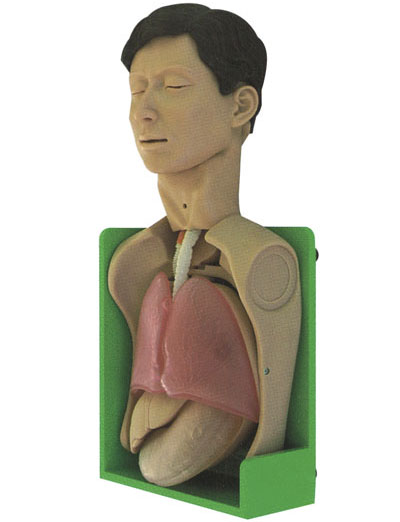 透明洗胃、胃腸減壓仿真標(biāo)準(zhǔn)化病人
