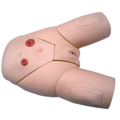 高級女性導尿模型