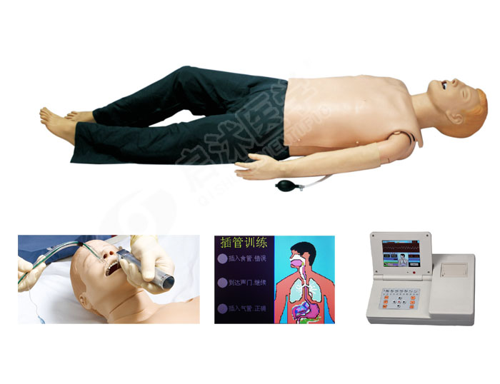 多功能成人綜合急救模型