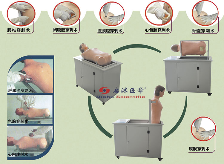 綜合穿刺術(shù)訓(xùn)練模擬人