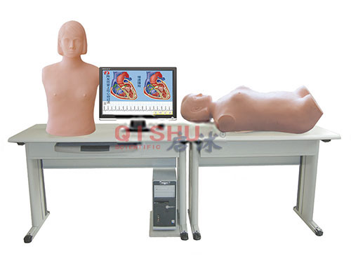 智能化心肺檢查和腹部檢查教學系統(tǒng)（學生實驗機）